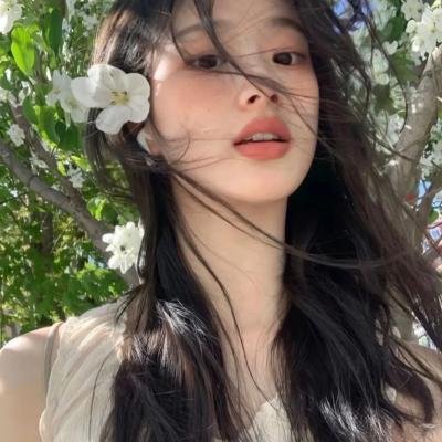 芙蓉仙子